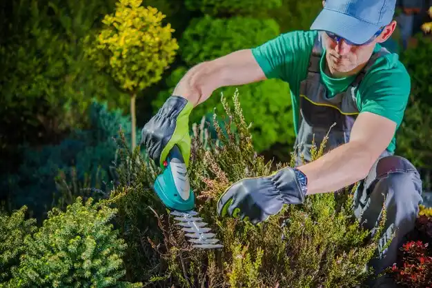 landscaping services Logan